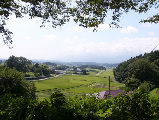 d0183417_22584893.jpg
