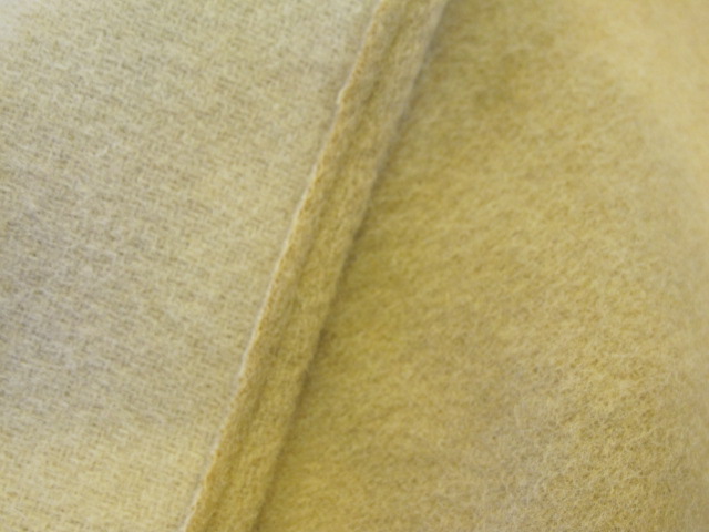 f0165518_1765687.jpg