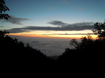 f0229926_8532462.jpg
