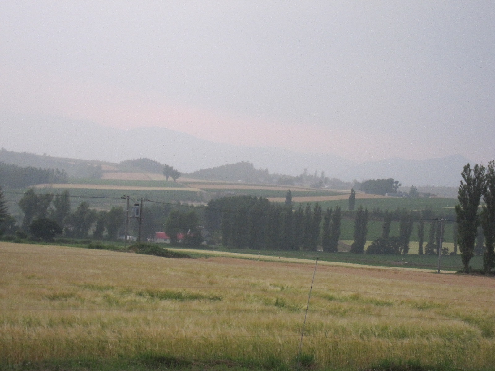 a0155430_1656344.jpg