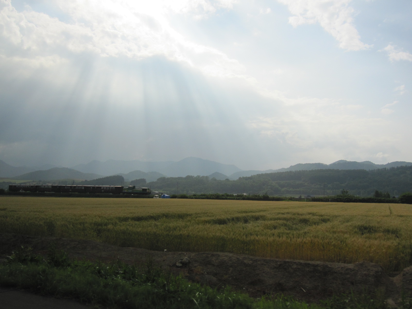 a0155430_1658165.jpg