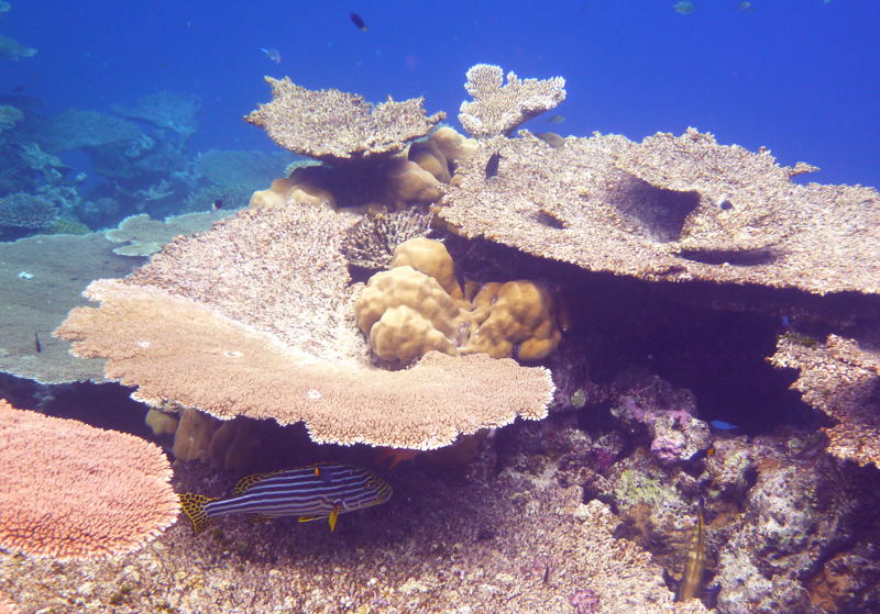 d0079432_001294.jpg
