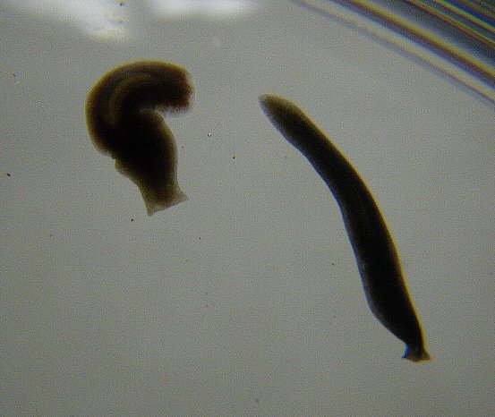 f0118332_937368.jpg