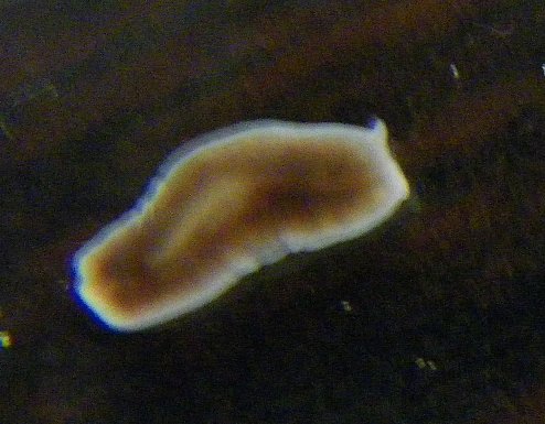 f0118332_9421263.jpg
