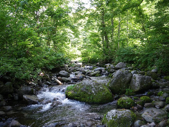 f0118332_9501846.jpg