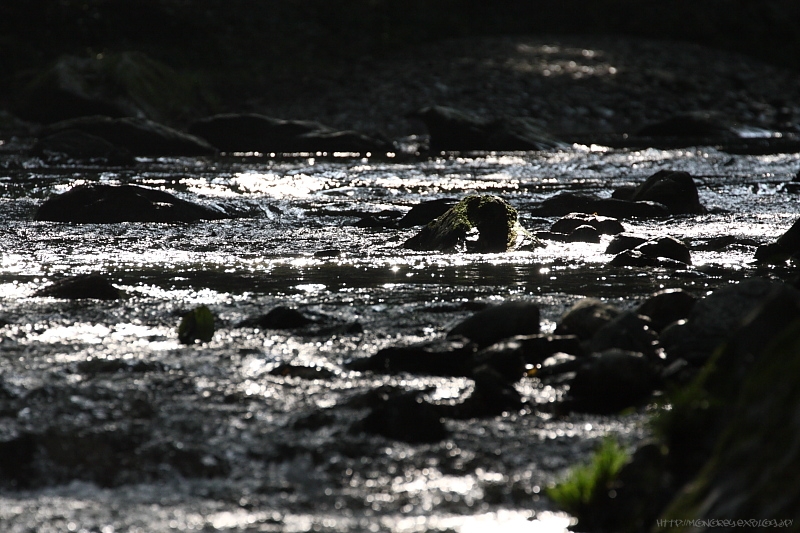c0164234_2248473.jpg