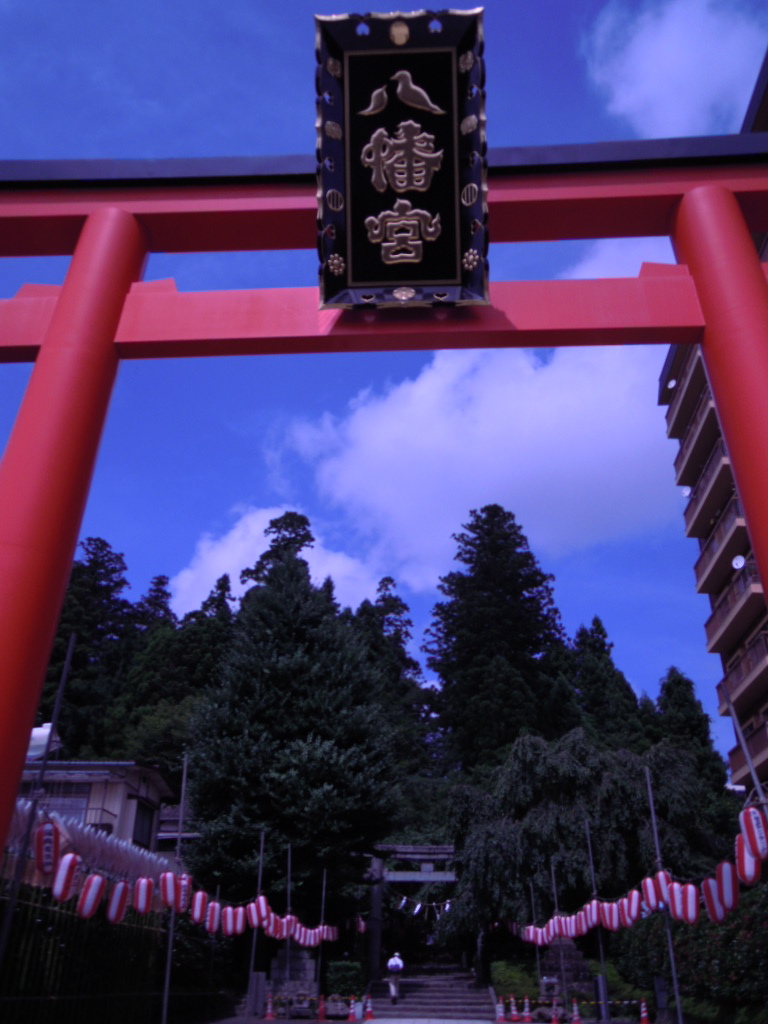 e0081334_2246450.jpg