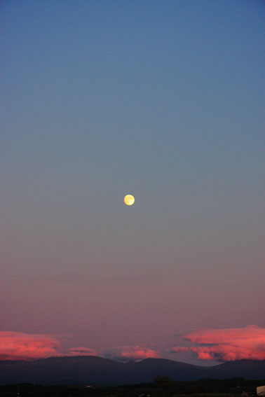 d0069235_2395763.jpg