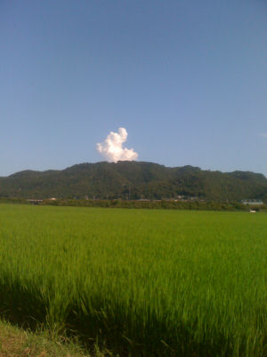 c0069036_2246539.jpg