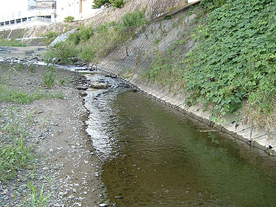 b0174137_1828442.jpg
