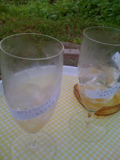 b0036340_83173.jpg