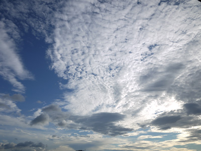 d0038547_11332678.jpg