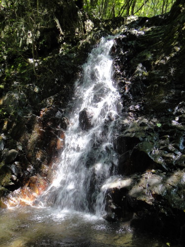 c0179351_18313462.jpg
