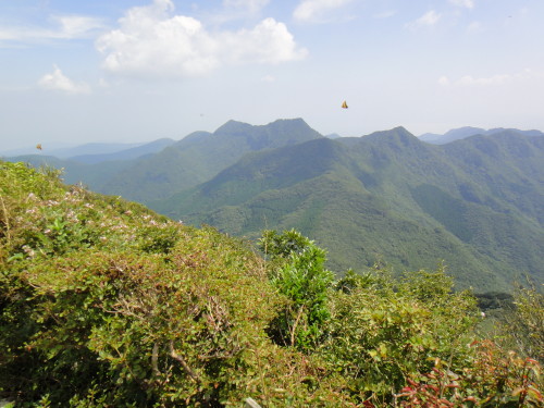 c0179351_18402863.jpg