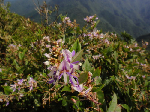 c0179351_18414575.jpg