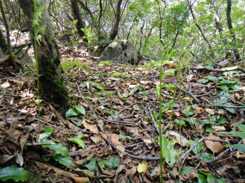 c0179351_18443221.jpg