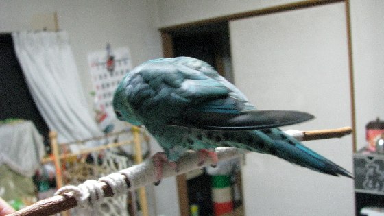 e0173755_0222511.jpg