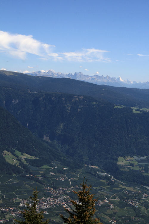 f0077159_5443841.jpg