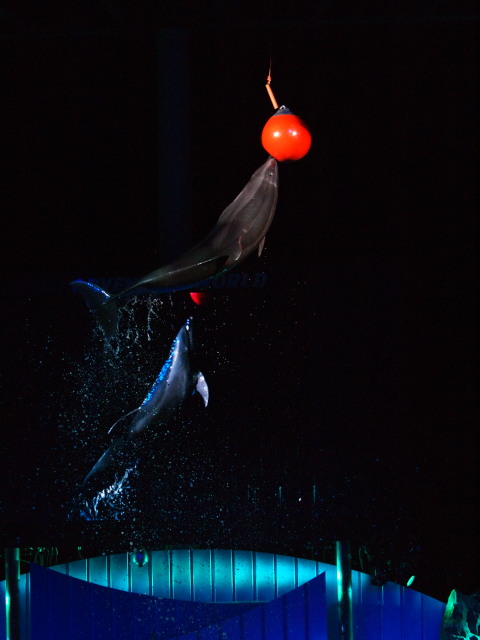 c0186760_192852100.jpg