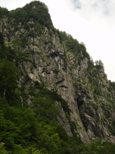 b0050067_0505267.jpg