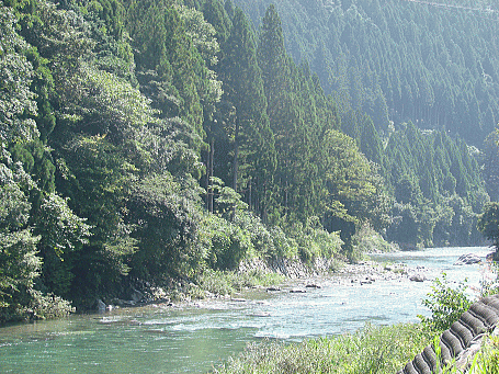 d0152869_17144566.gif