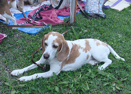d0152869_18372216.gif