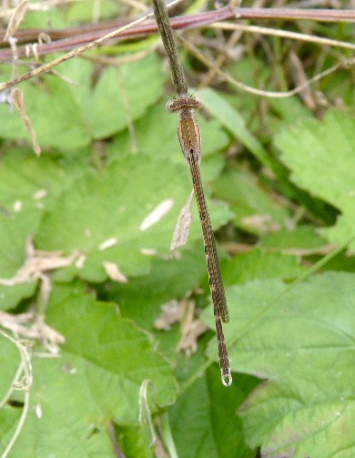 d0084473_20533358.jpg