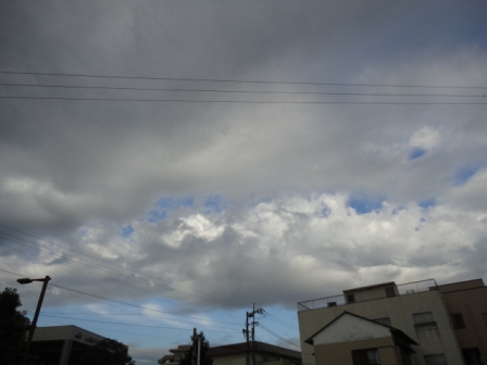 d0109373_0495159.jpg