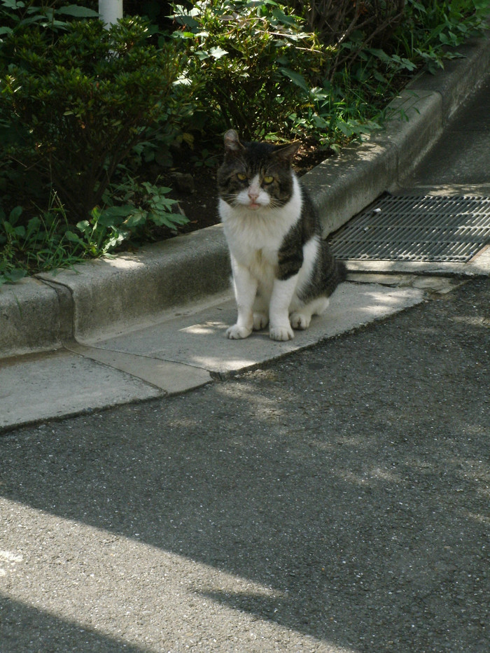 e0112077_340261.jpg