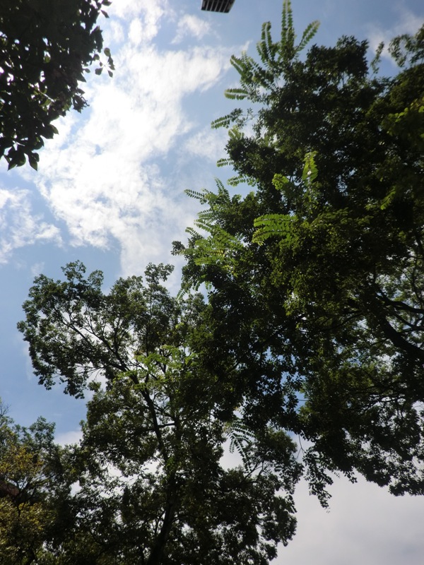 f0238779_5422047.jpg