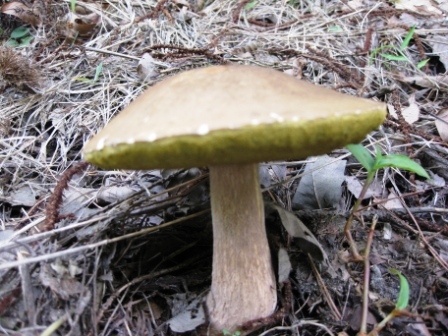 a0169881_1694448.jpg