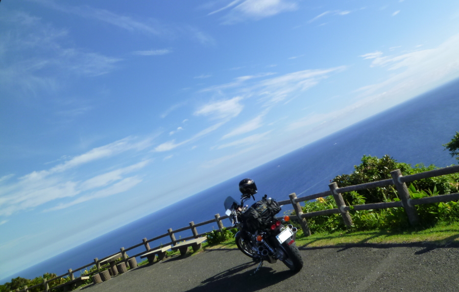 d0179983_1621357.jpg