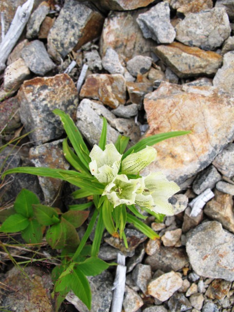 c0171790_22112392.jpg