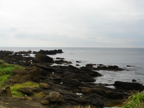 d0125890_20162446.jpg