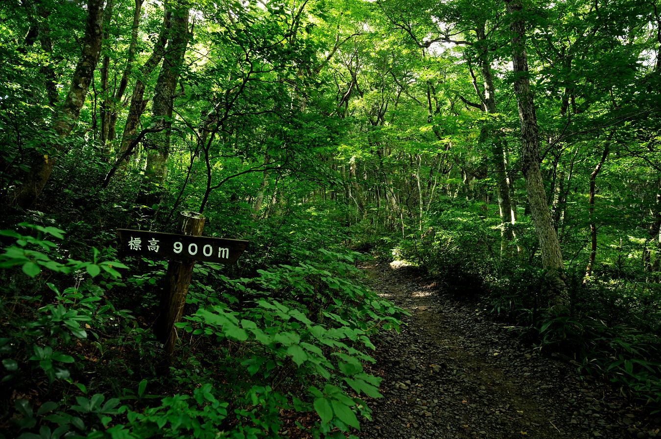 c0138991_22104038.jpg