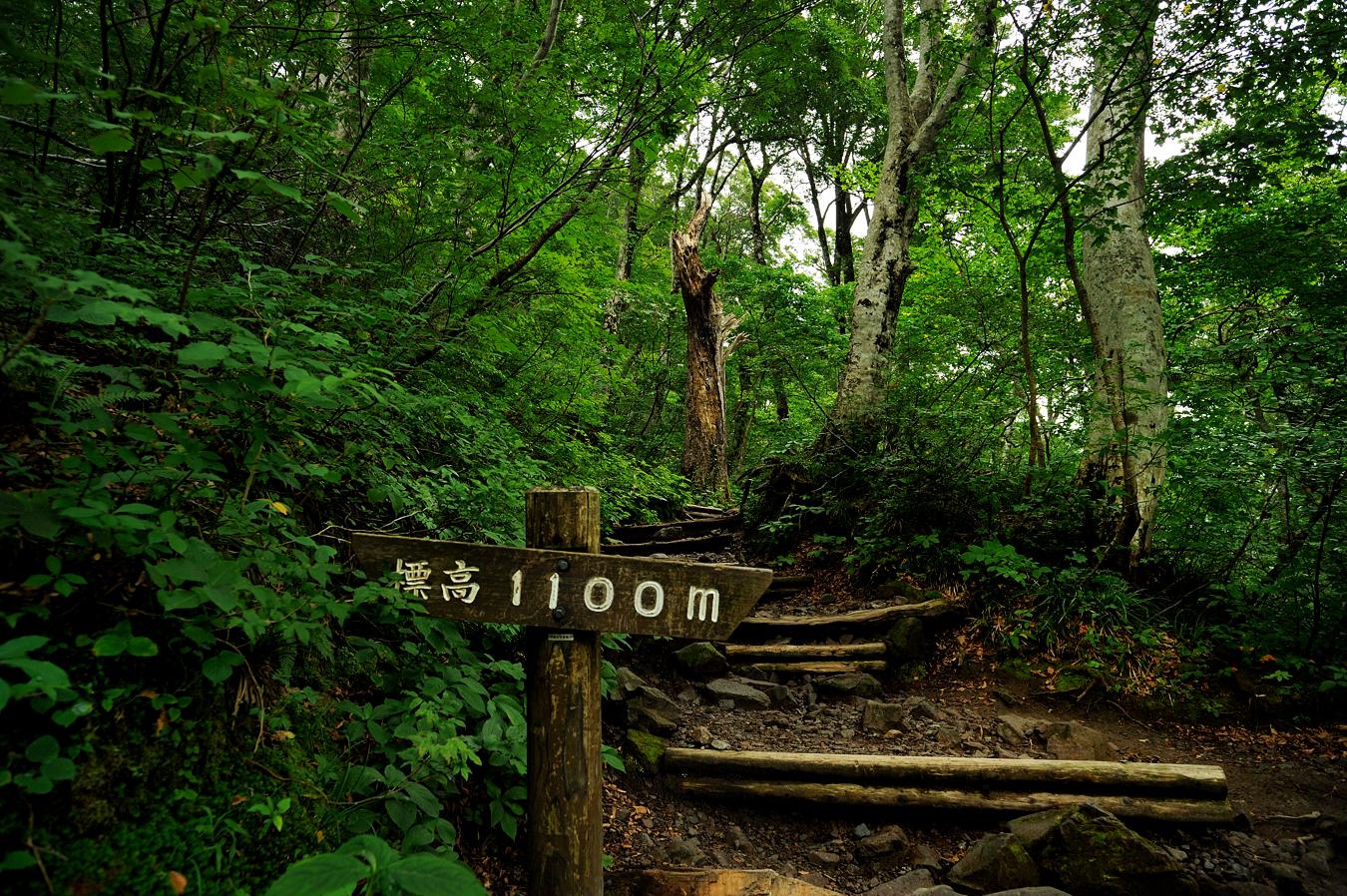 c0138991_22124473.jpg