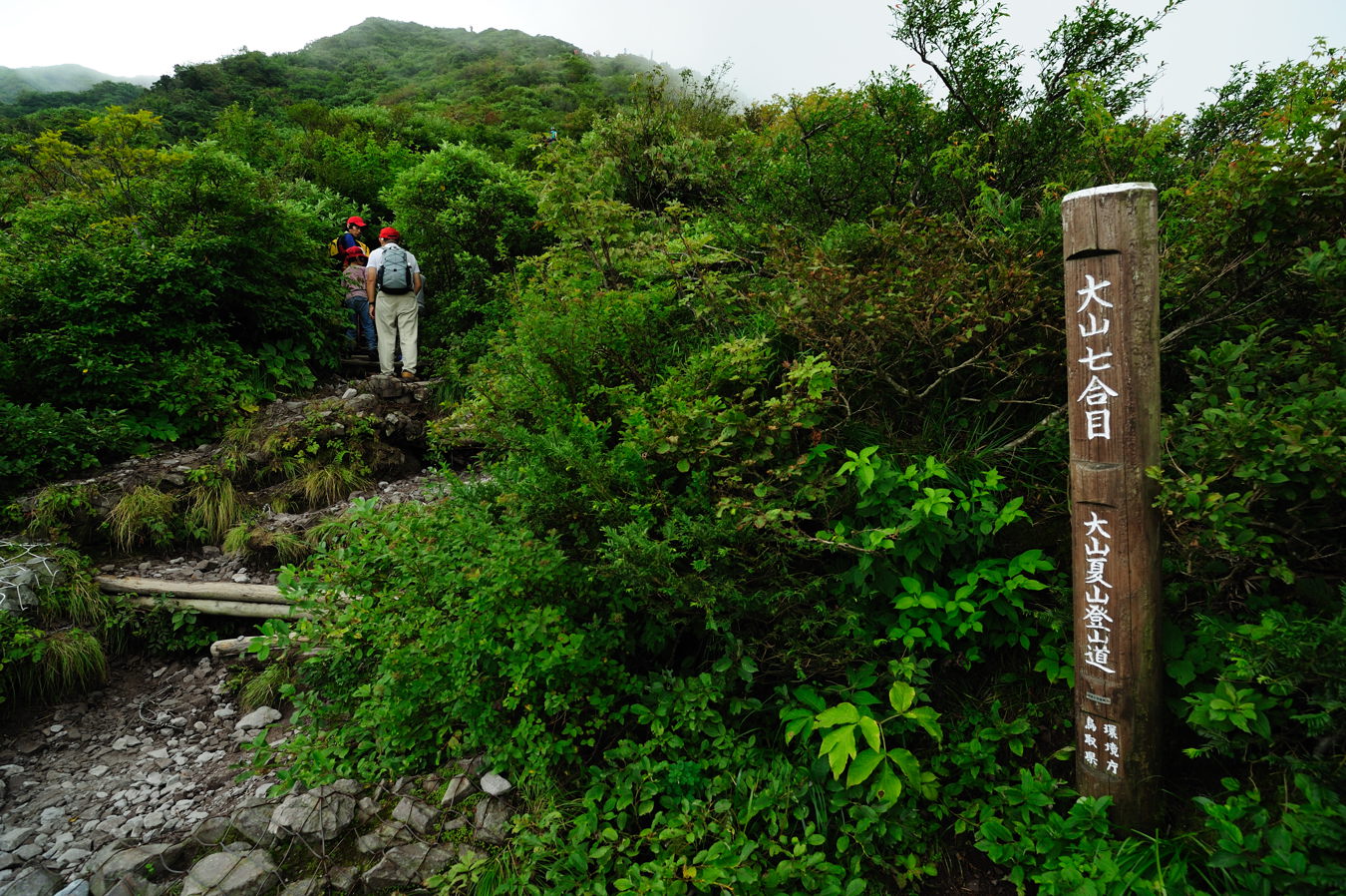 c0138991_22165055.jpg