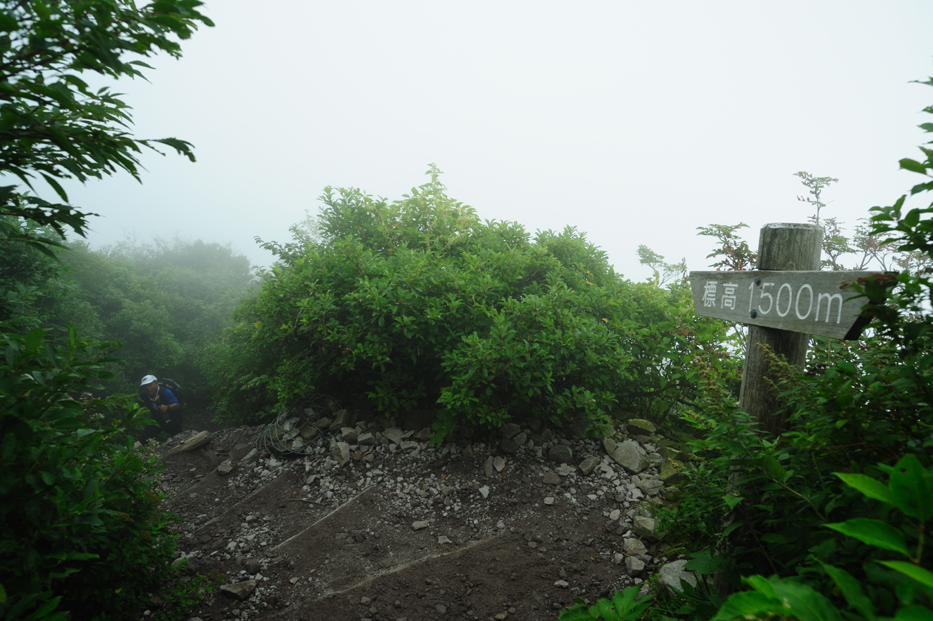 c0138991_22175866.jpg