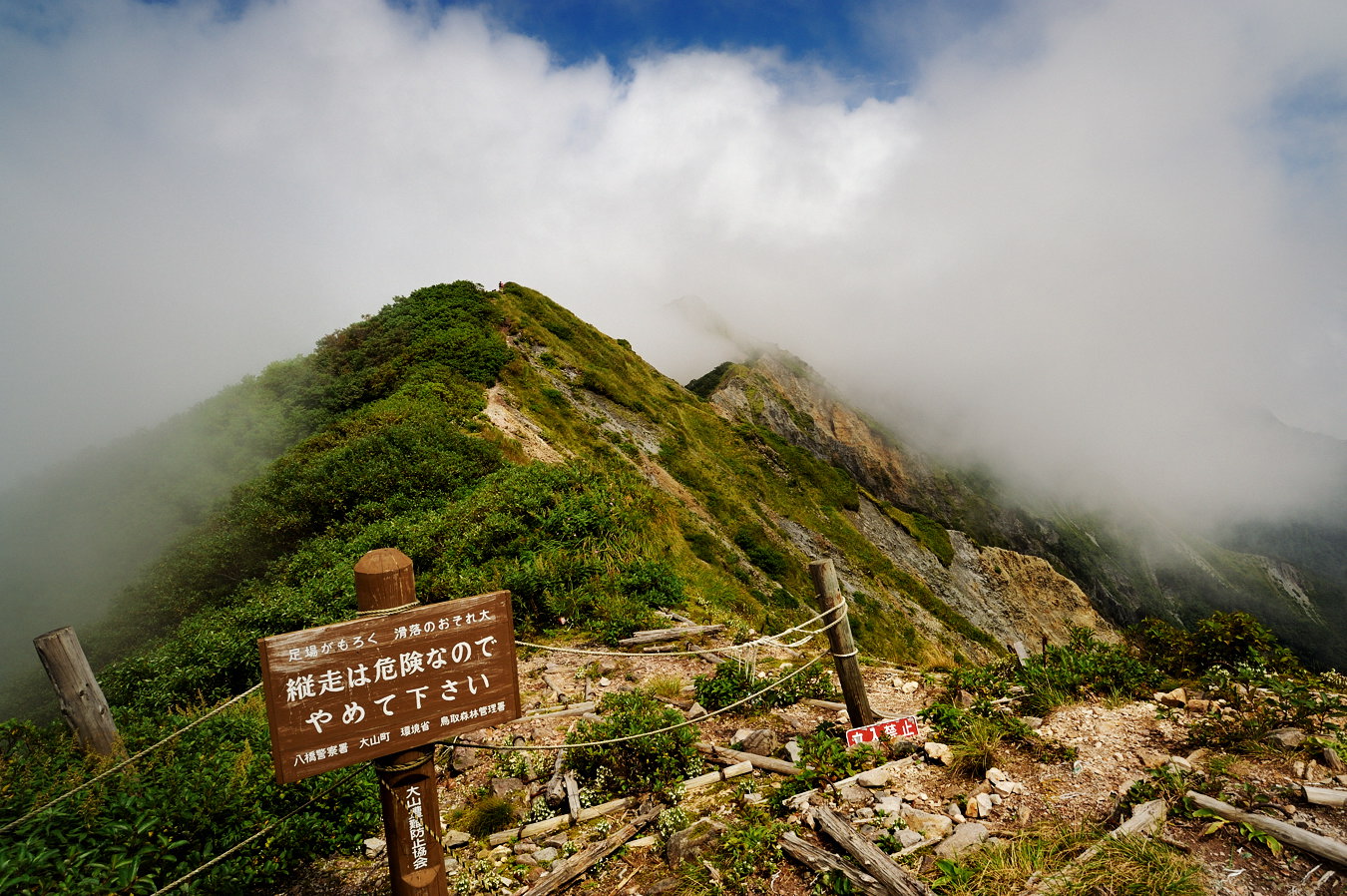 c0138991_22234495.jpg