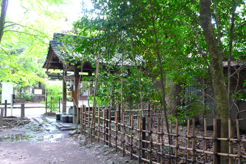 a0079292_129282.jpg