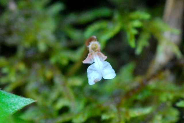 d0168292_17251934.jpg