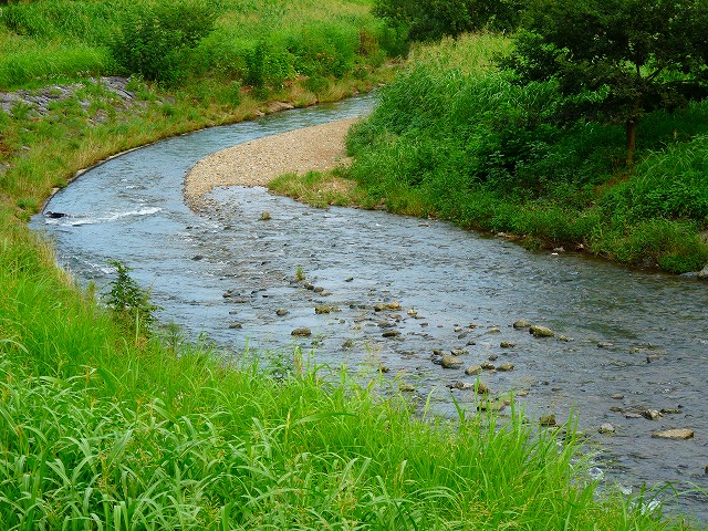 e0202393_7535432.jpg