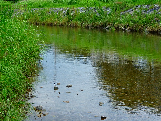 e0202393_7564644.jpg