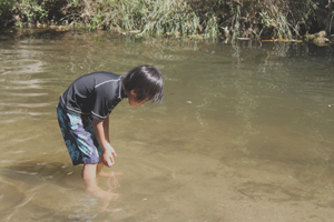 c0033994_8222550.jpg