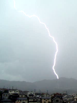 a0047200_19495456.png