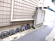 a0225700_1861488.jpg