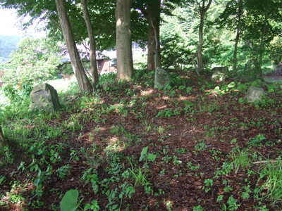 c0151303_18224141.jpg