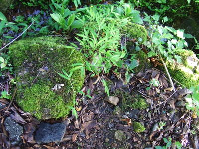 c0151303_18241514.jpg