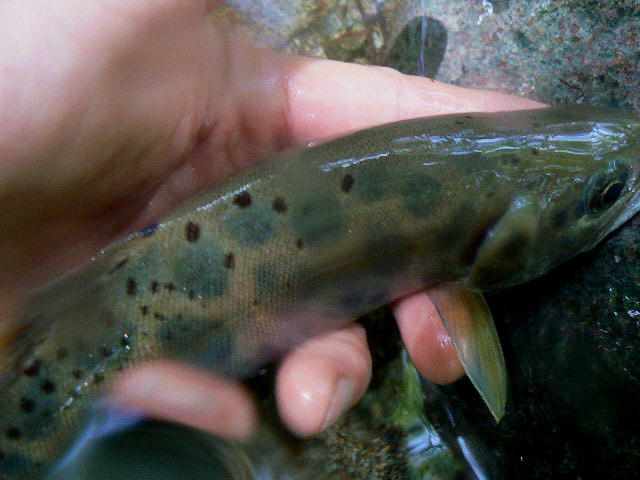 f0164503_19585516.jpg