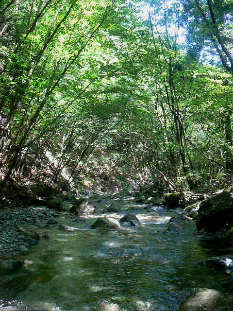 f0164503_19593923.jpg